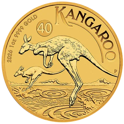 Australian Kangaroo